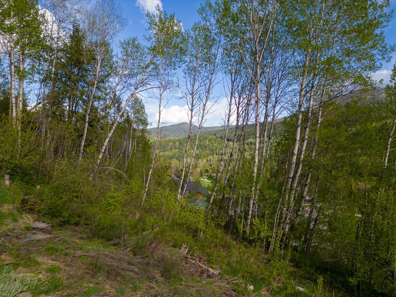1021 Silvertip Road, Rossland, British Columbia  V0G 1Y0 - Photo 21 - 2470639