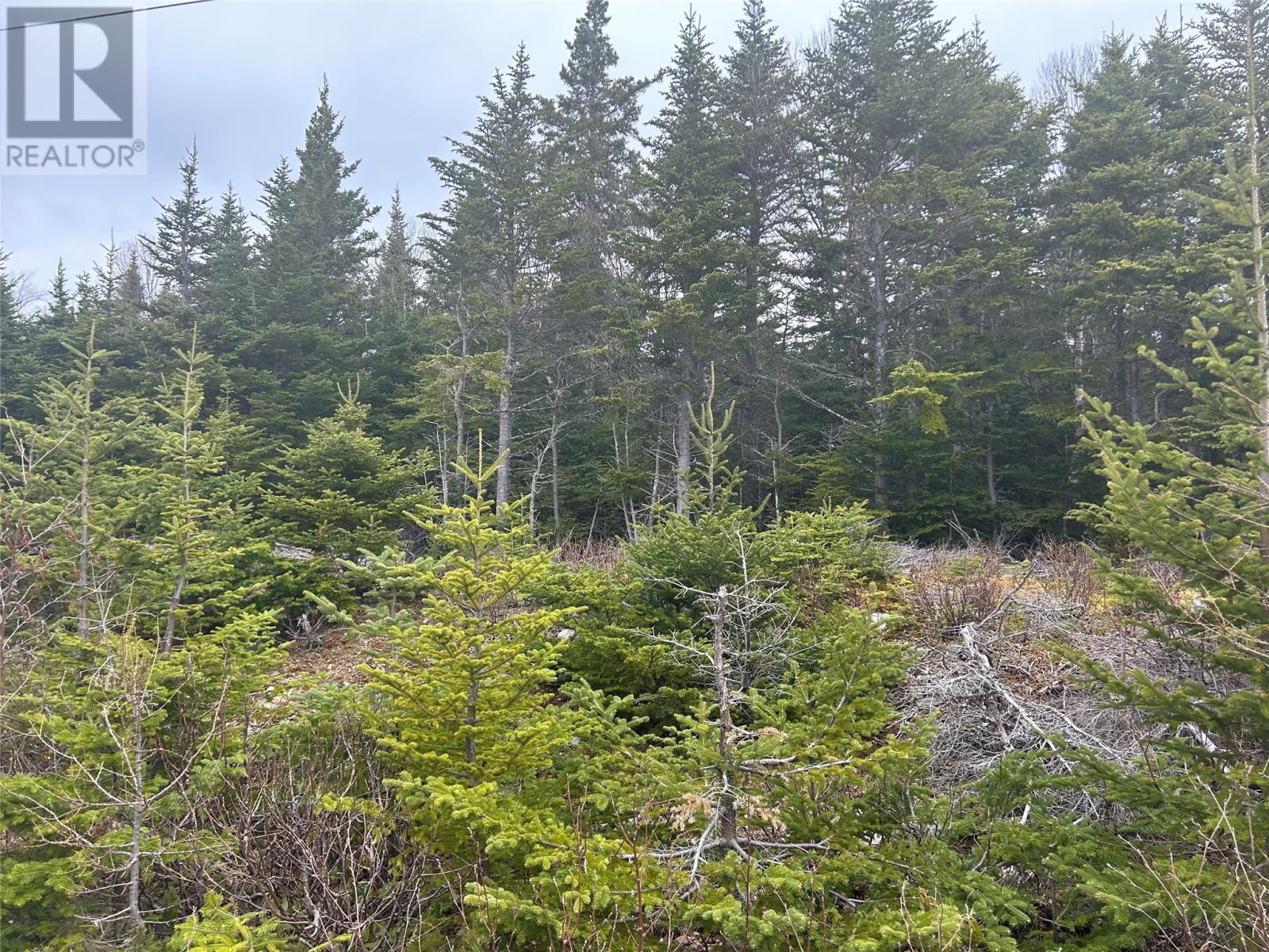 Lot # 02 Slate Mine Road, burgoynes cove, Newfoundland & Labrador