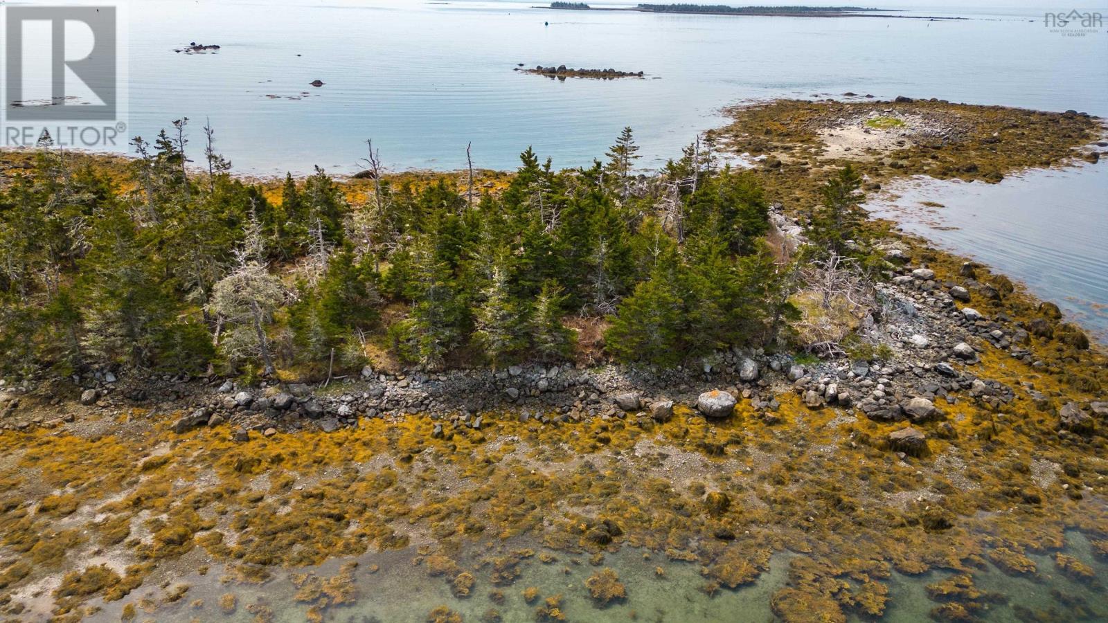 Squirrel Island, Forbes Point, Nova Scotia  B0W 2E0 - Photo 7 - 202309168