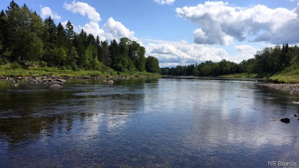 +/- 40 Acres Pineville Road, Bell Pool, Renous, New Brunswick E9E 2L5 - Photo 1 - NB087138