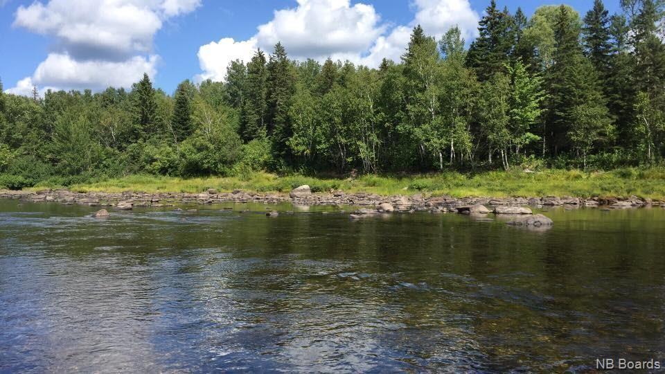 +/- 40 Acres Pineville Road, Bell Pool, Renous, New Brunswick E9E 2L5 - Photo 6 - NB087138