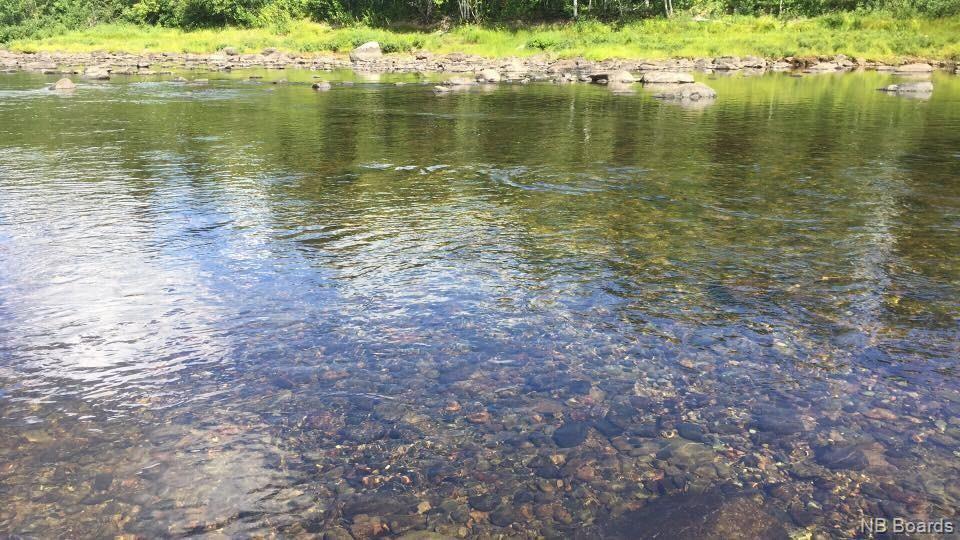 +/- 40 Acres Pineville Road, Bell Pool, Renous, New Brunswick E9E 2L5 - Photo 3 - NB087138