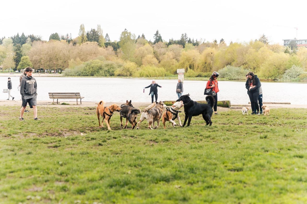 Sl12 5092 Chamber Street, Vancouver, British Columbia  V5R 3L9 - Photo 7 - R2778399