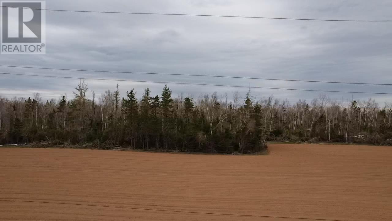 Acreage Peakes Road, Riverton, Prince Edward Island  C0A 1S0 - Photo 6 - 202309352