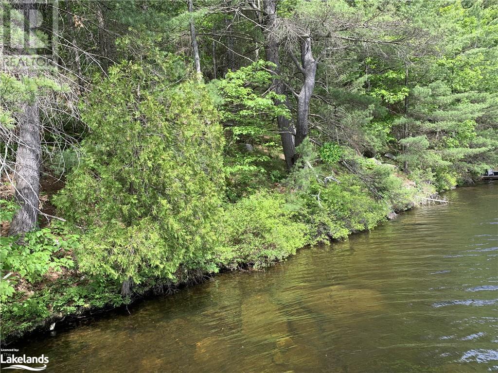 0 Taylor Island, Gravenhurst, Ontario  P1P 1R2 - Photo 11 - 40422727