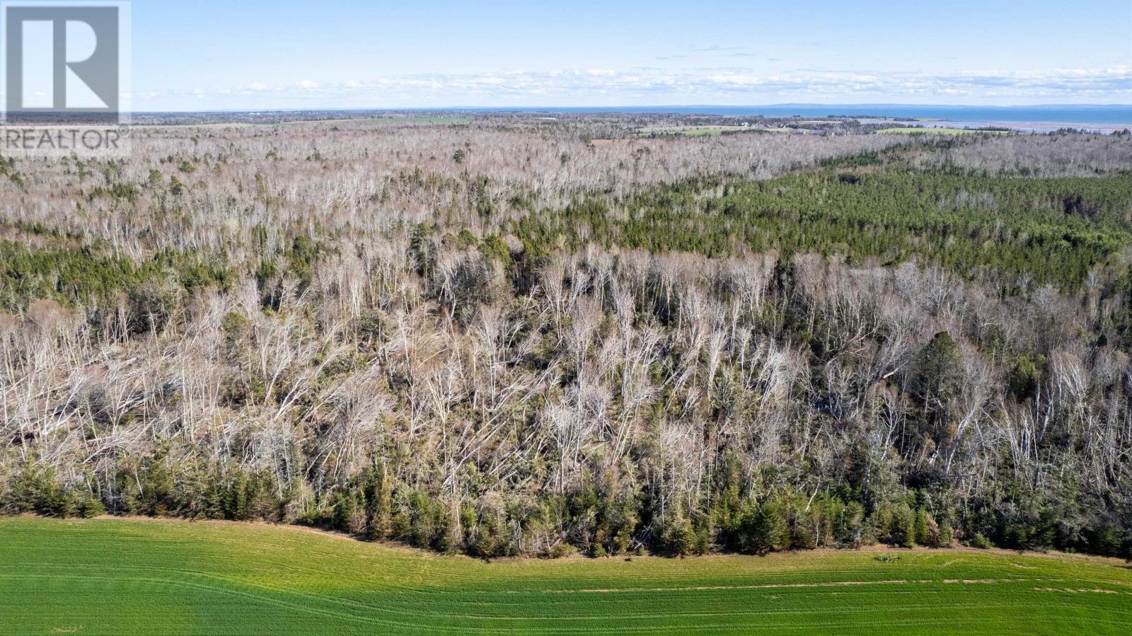 Lot High Road, South Pinette, Prince Edward Island  C0A 1R0 - Photo 14 - 202309534