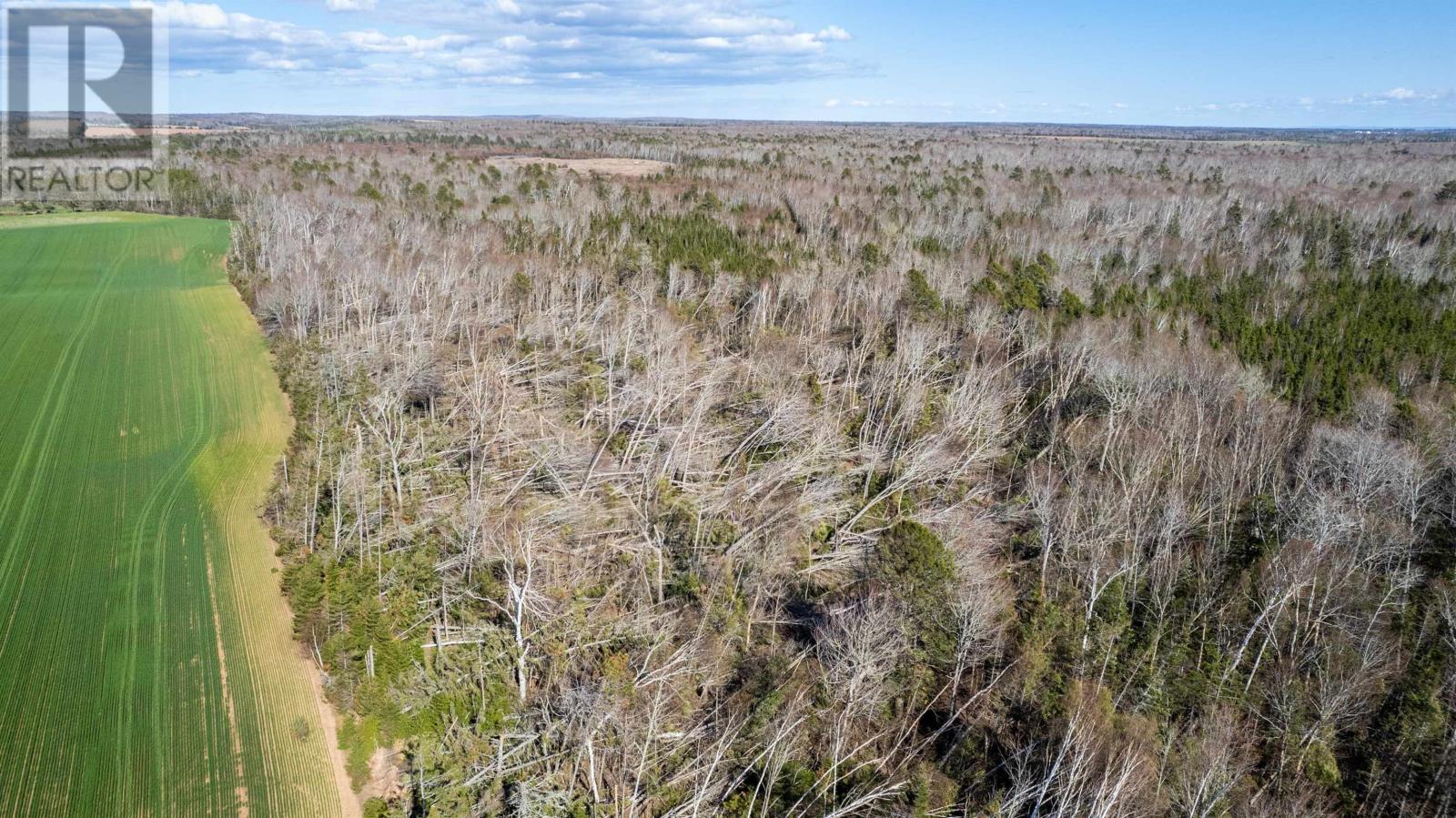 Lot High Road, South Pinette, Prince Edward Island  C0A 1R0 - Photo 16 - 202309534