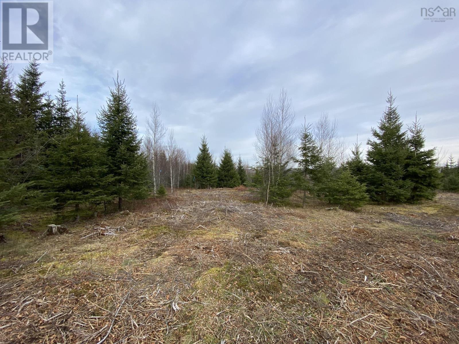 236 Brookville Branch Road, Bridgeville, Nova Scotia  B2H 5C6 - Photo 7 - 202227020