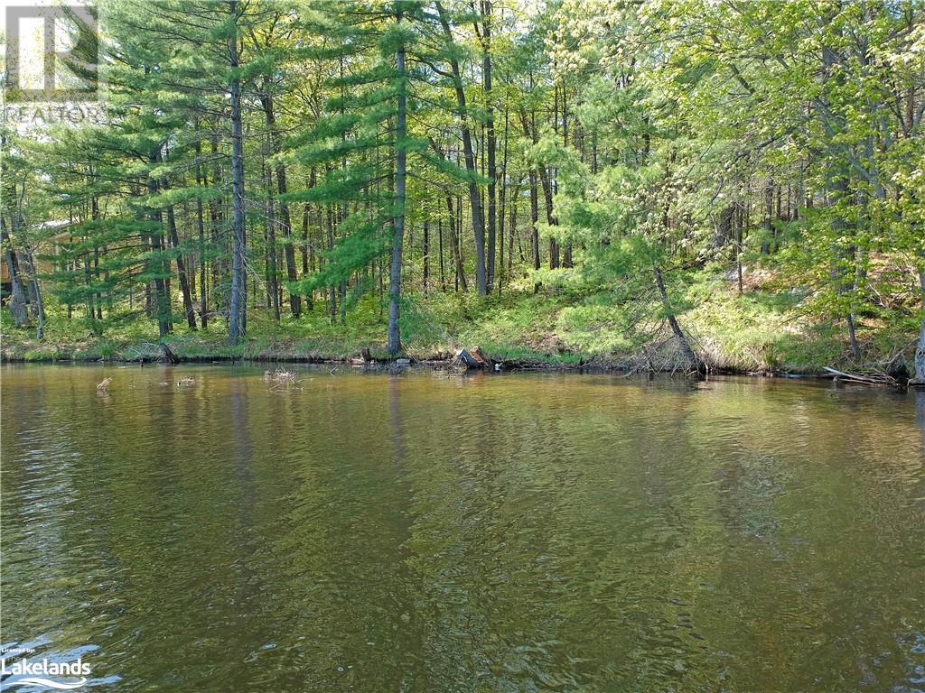 0 Severn River, Georgian Bay, Ontario  L0K 1E0 - Photo 10 - 40424133