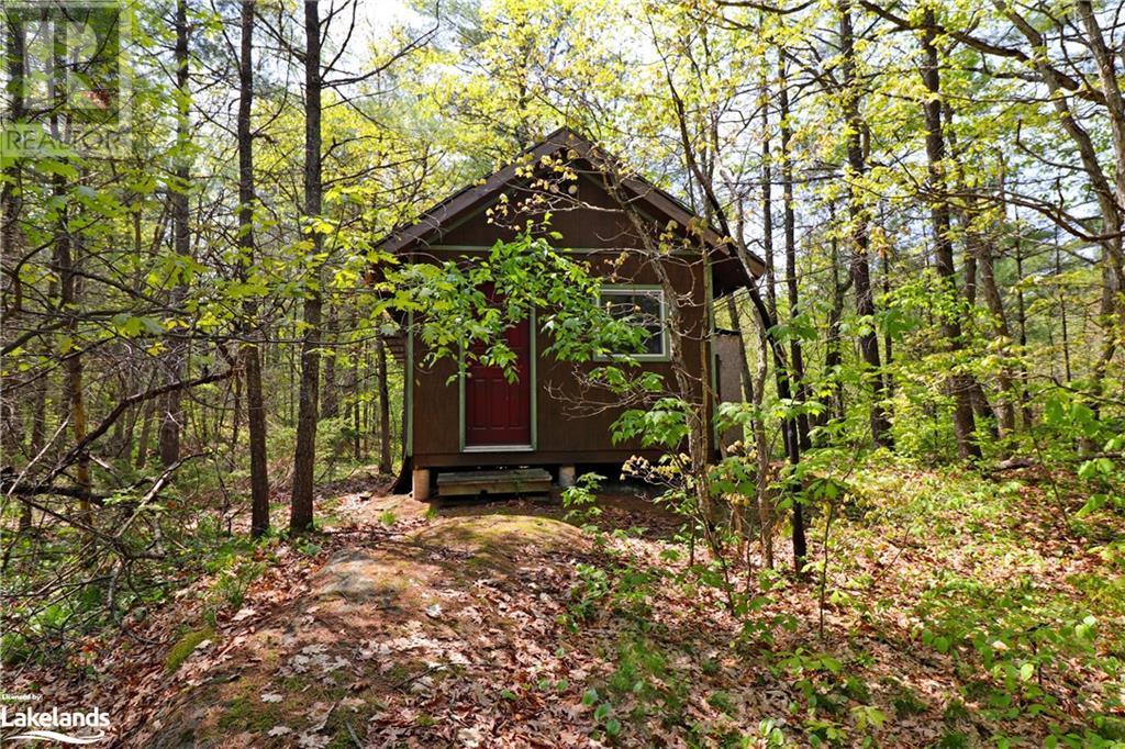 0 Severn River, Georgian Bay, Ontario  L0K 1E0 - Photo 14 - 40424133