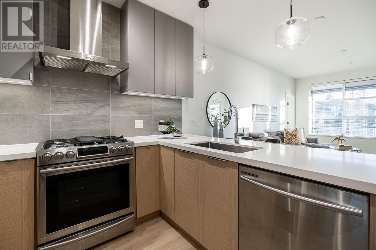 206 603 REGAN AVENUE, coquitlam, British Columbia V3J0K2