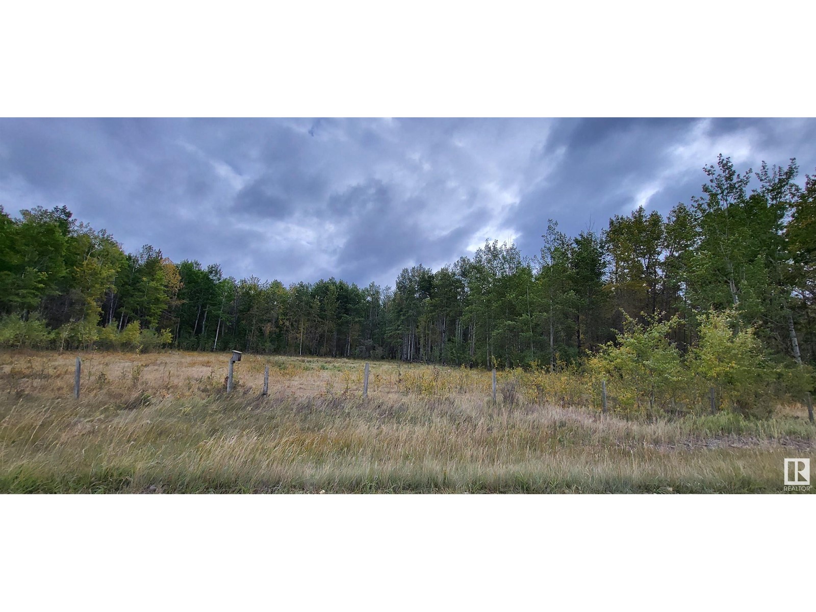 Twp 470 Rr 63a, Rural Wetaskiwin County, Alberta  T0C 0T0 - Photo 9 - E4313144