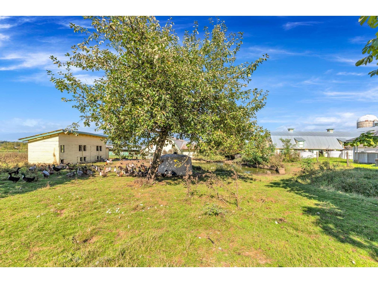 12591 209 Street, Maple Ridge, British Columbia  V2X 4N2 - Photo 3 - R2777716