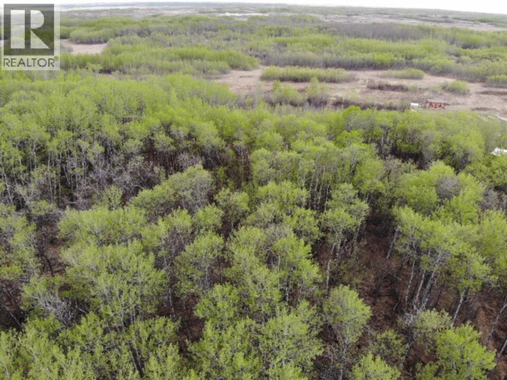 29 450031 73 Range, M.d. Of, Alberta T9W 1L5 - Photo 4 - A1150695