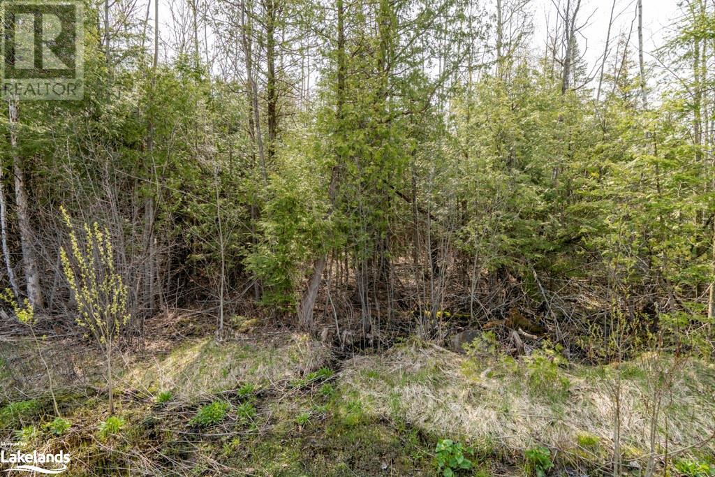 Lot 438 Champlain Road, Tiny, Ontario  L9M 1S5 - Photo 3 - 40423564