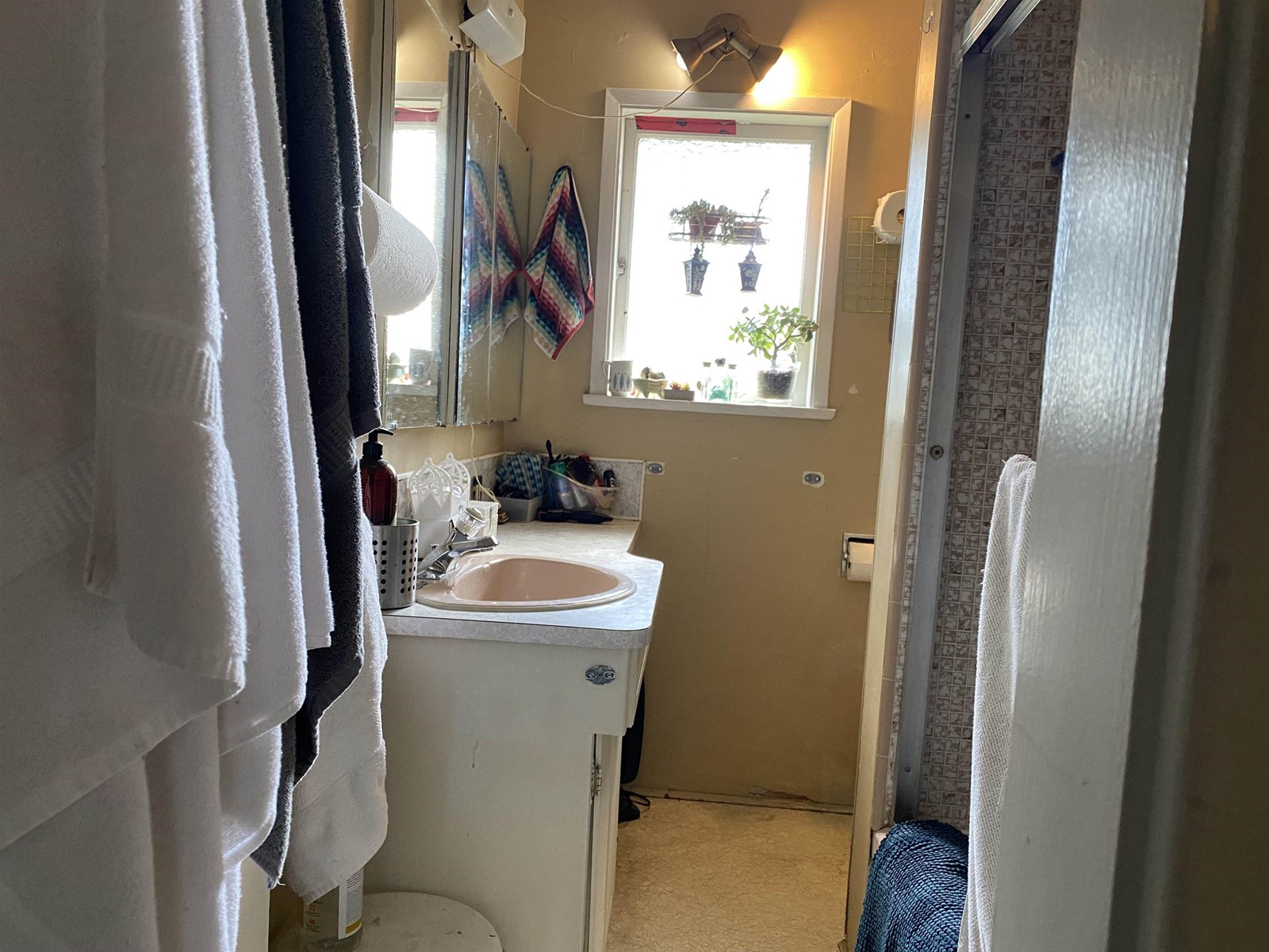 2448 Galt Street, Vancouver, British Columbia  V5R 2R7 - Photo 7 - R2780593