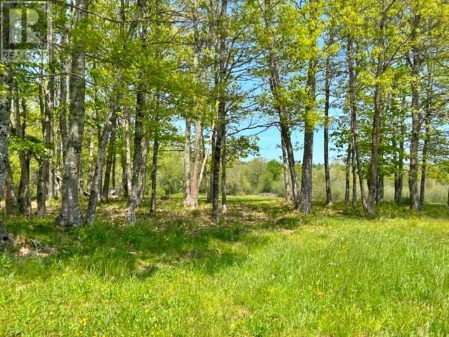 396 Highway 208, New Germany, Nova Scotia  B0R 1E0 - Photo 15 - 202304807