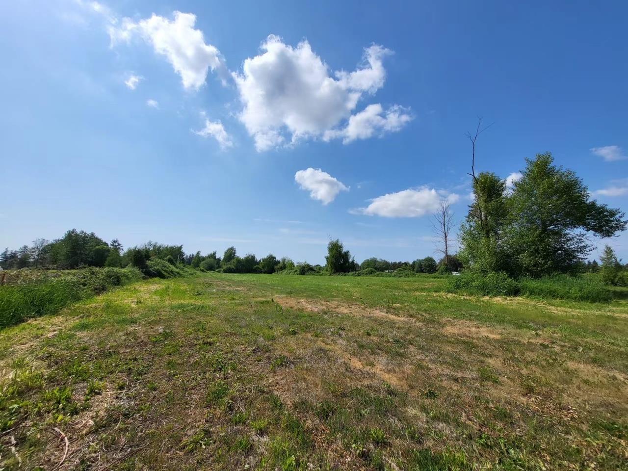 10231 No. 6 Road, Richmond, British Columbia  V6W 1E6 - Photo 19 - R2772429