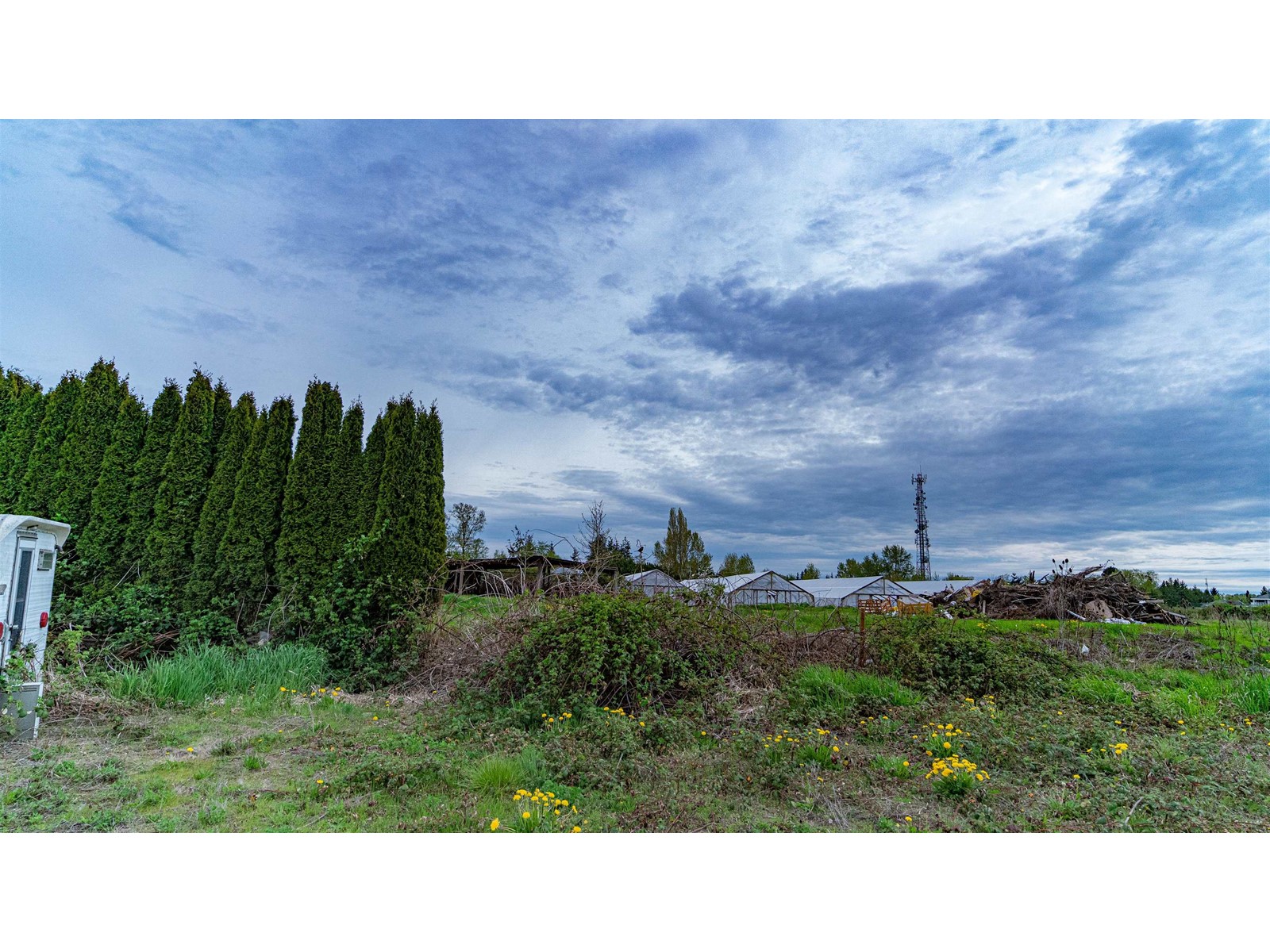 10231 No. 6 Road, Richmond, British Columbia  V6W 1E6 - Photo 13 - R2772429