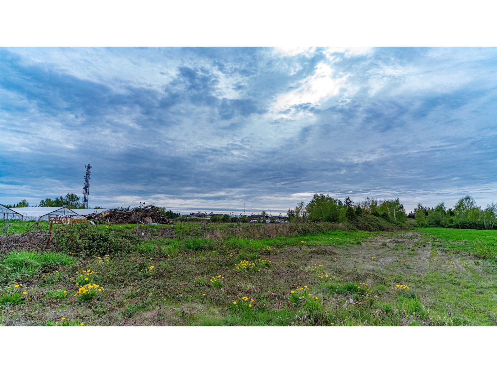 10231 No. 6 Road, Richmond, British Columbia  V6W 1E6 - Photo 12 - R2772429