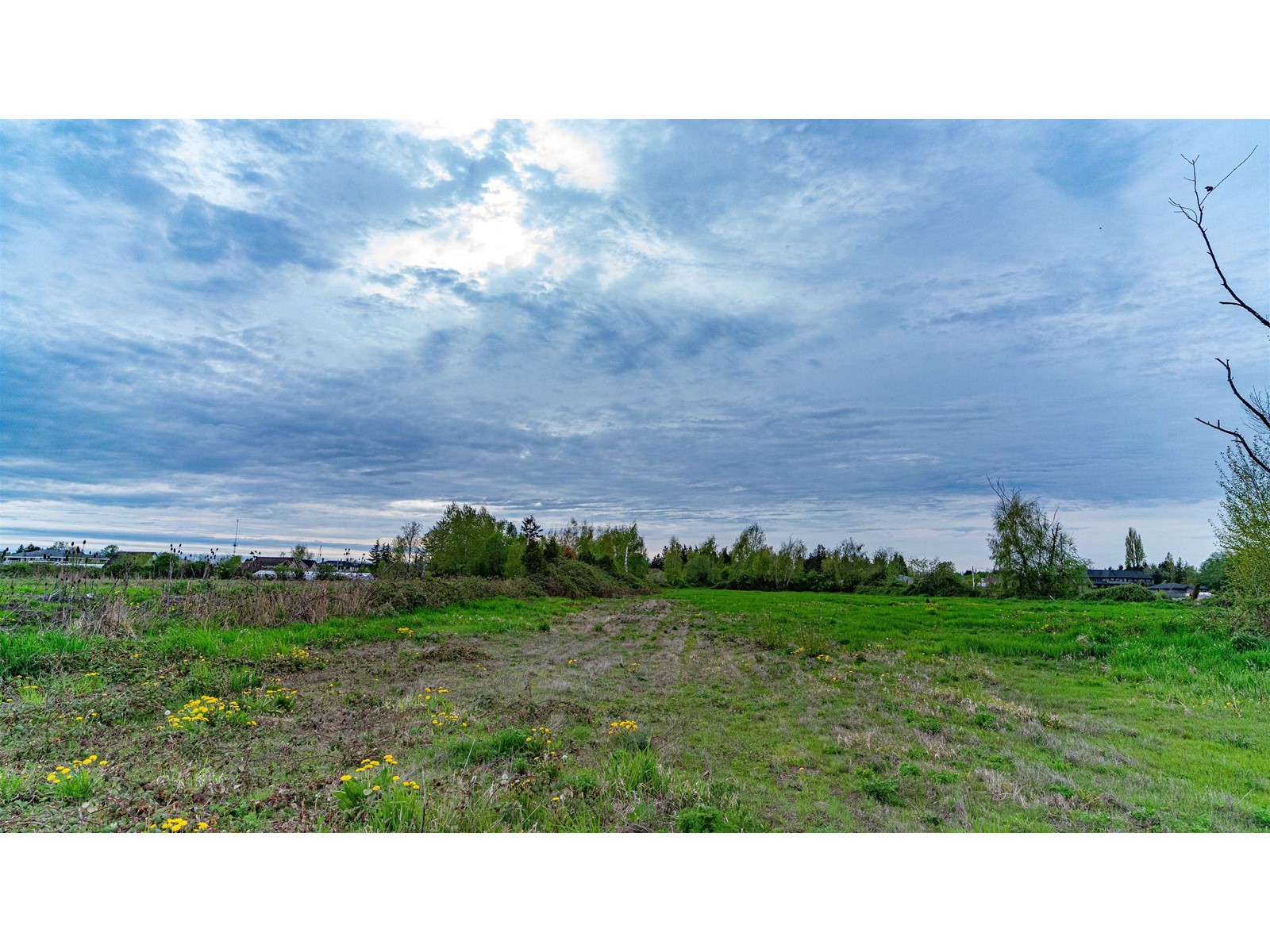 10231 No. 6 Road, Richmond, British Columbia  V6W 1E6 - Photo 11 - R2772429