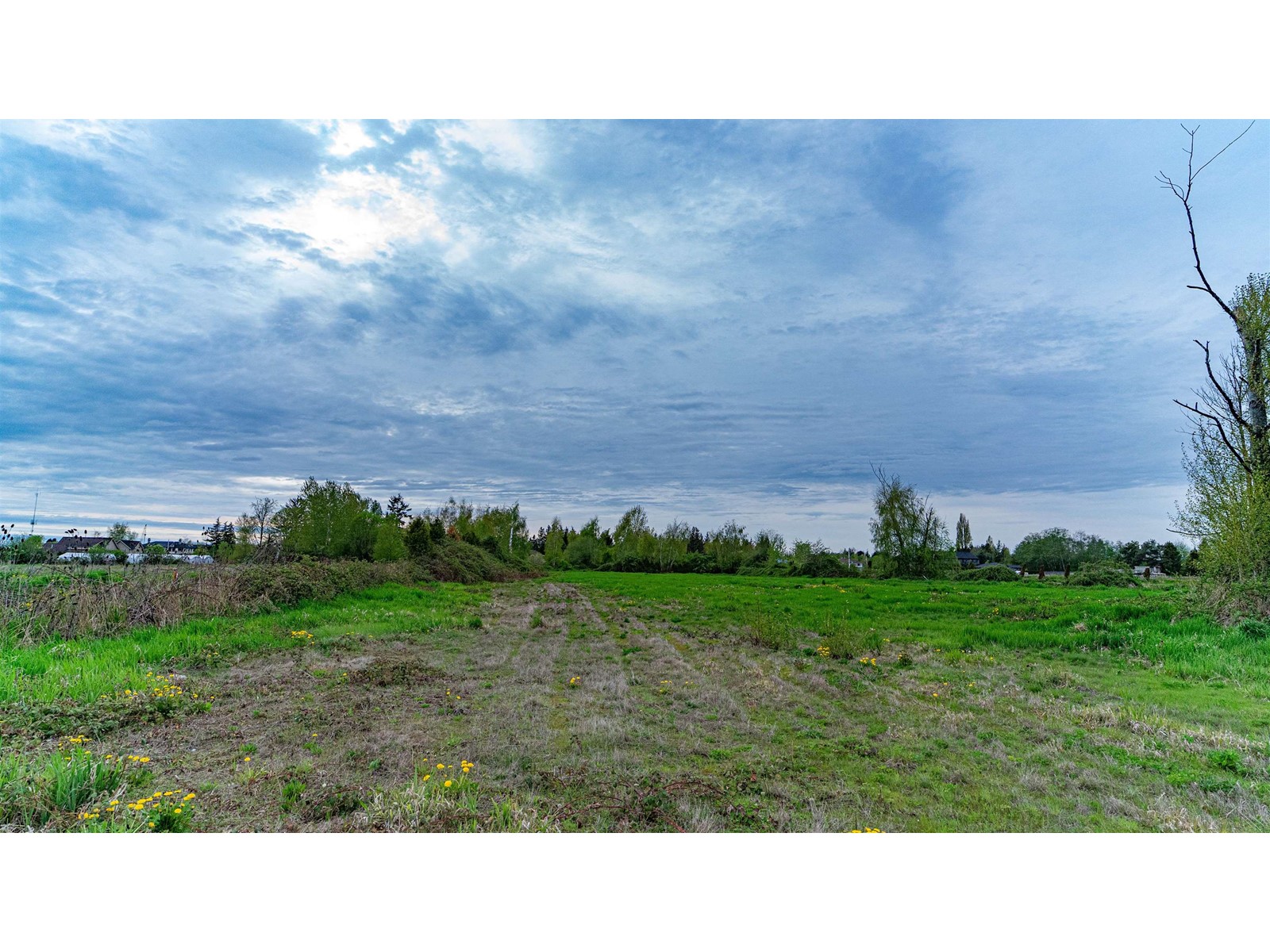 10231 No. 6 Road, Richmond, British Columbia  V6W 1E6 - Photo 7 - R2772429