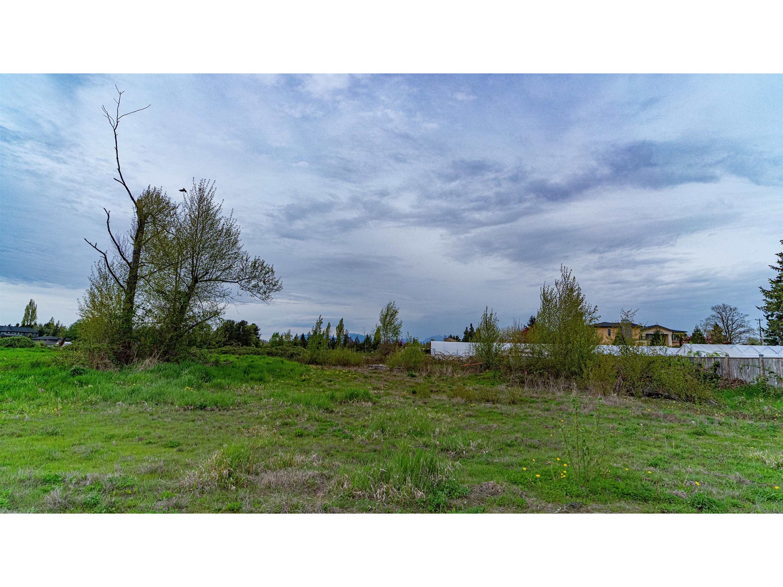 10231 No. 6 Road, Richmond, British Columbia  V6W 1E6 - Photo 9 - R2772429