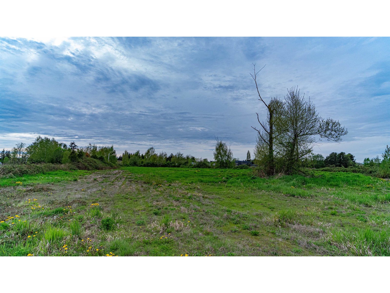 10231 No. 6 Road, Richmond, British Columbia  V6W 1E6 - Photo 14 - R2772429