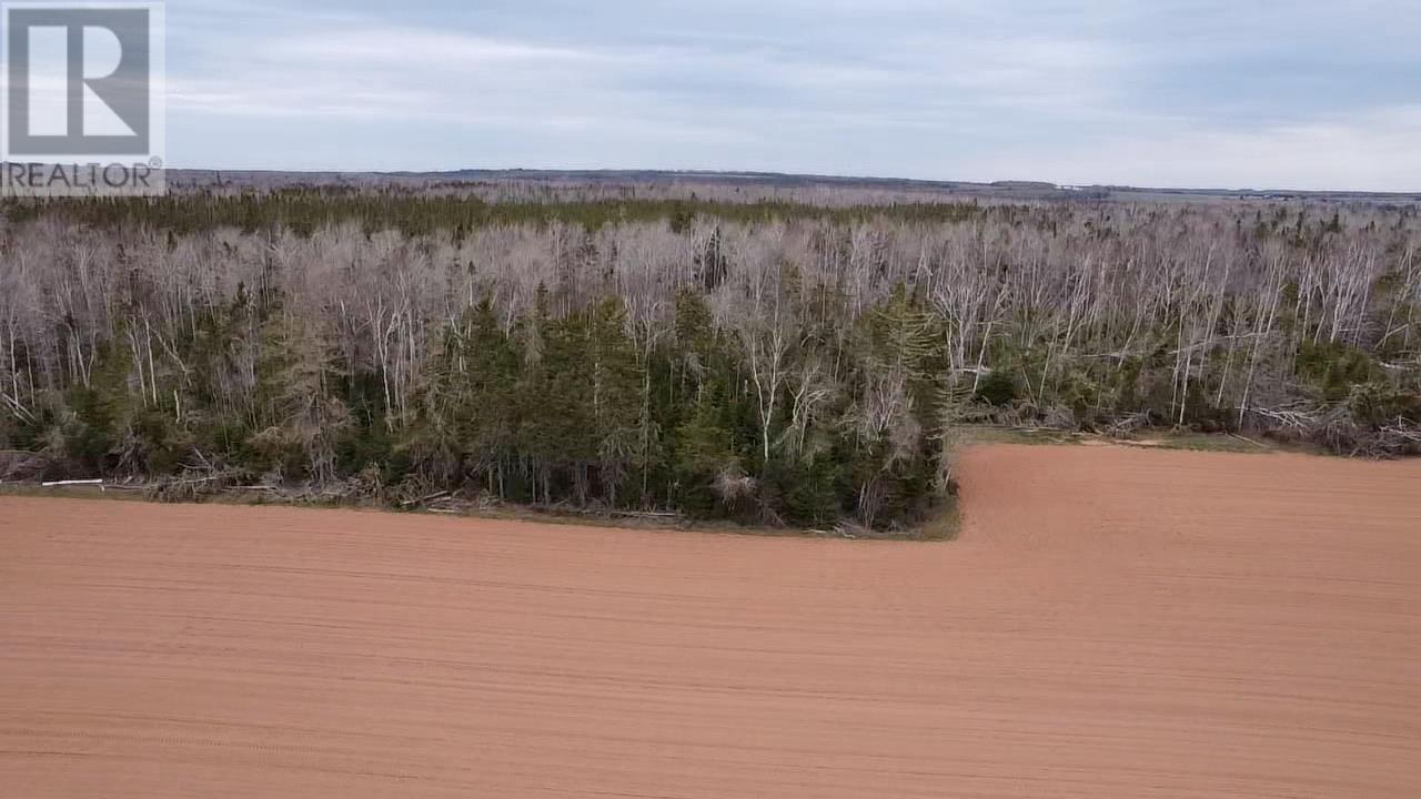 Acreage Church Road, Peakes, Prince Edward Island  C0A 1T0 - Photo 2 - 202309896