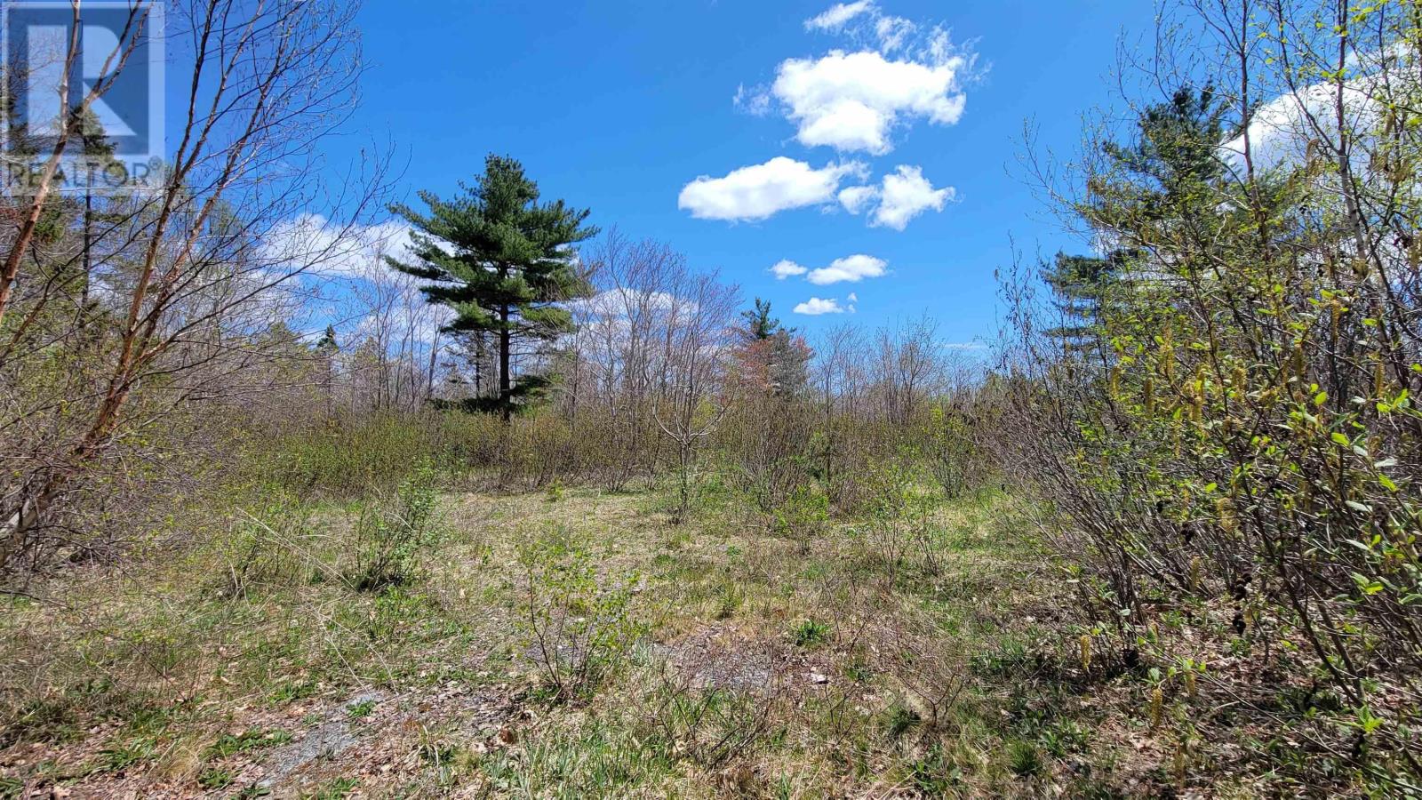 Lot Old Port Mouton Road, White Point, Nova Scotia  B0T 1K0 - Photo 15 - 202309953