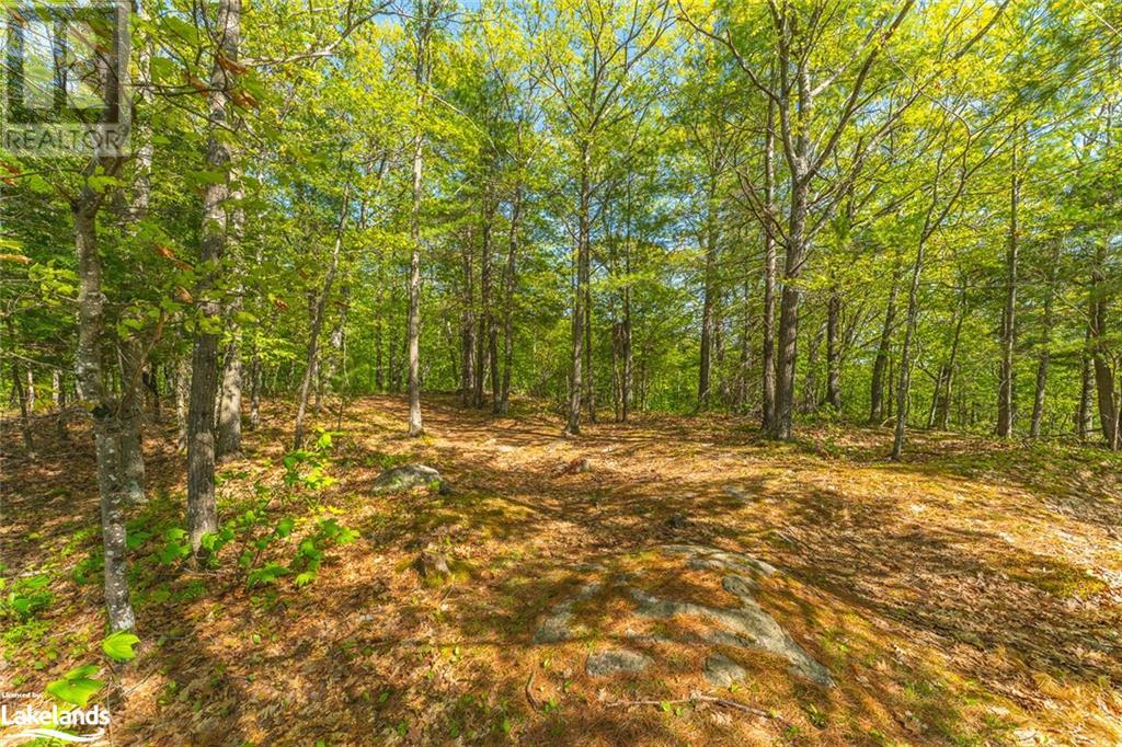 0 Adeline Trail, Haliburton, Ontario  K0M 1S0 - Photo 17 - 40424285