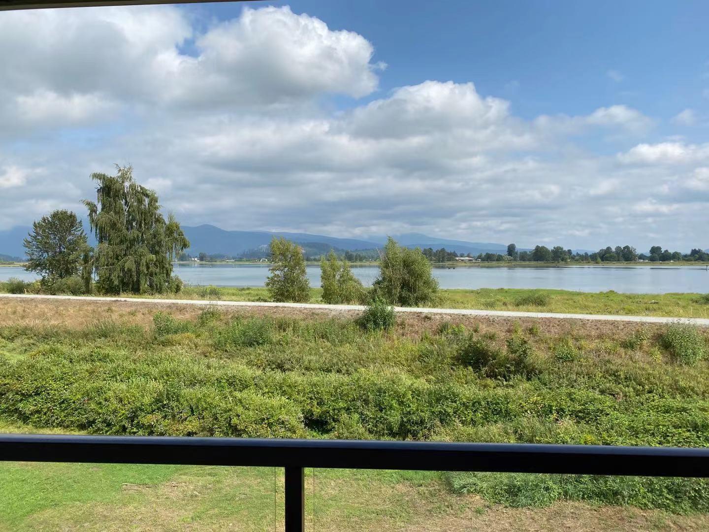 325 Laurier Avenue, Port Coquitlam, British Columbia  V3E 3G1 - Photo 5 - R2781184