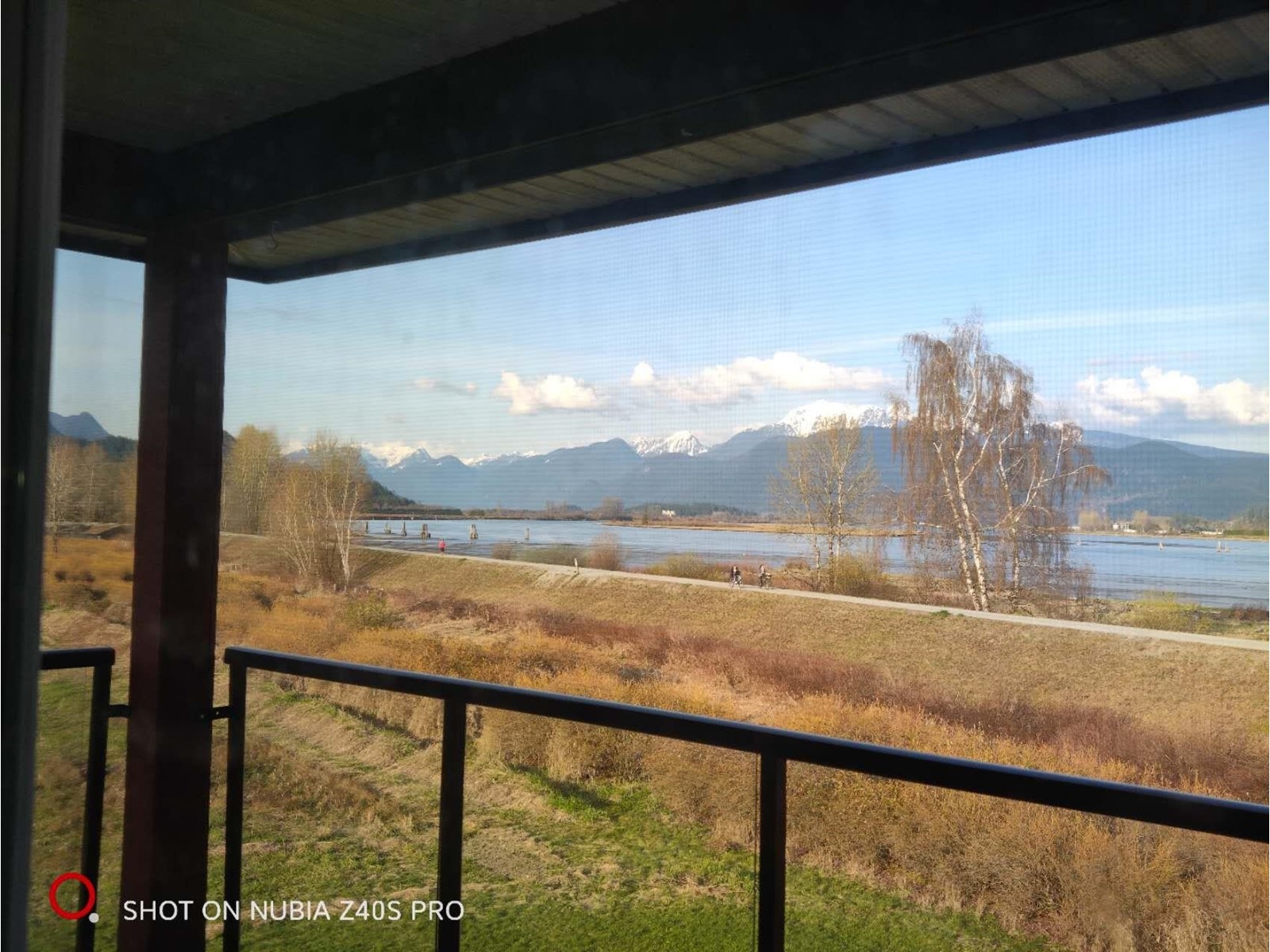 325 Laurier Avenue, Port Coquitlam, British Columbia  V3E 3G1 - Photo 4 - R2781184