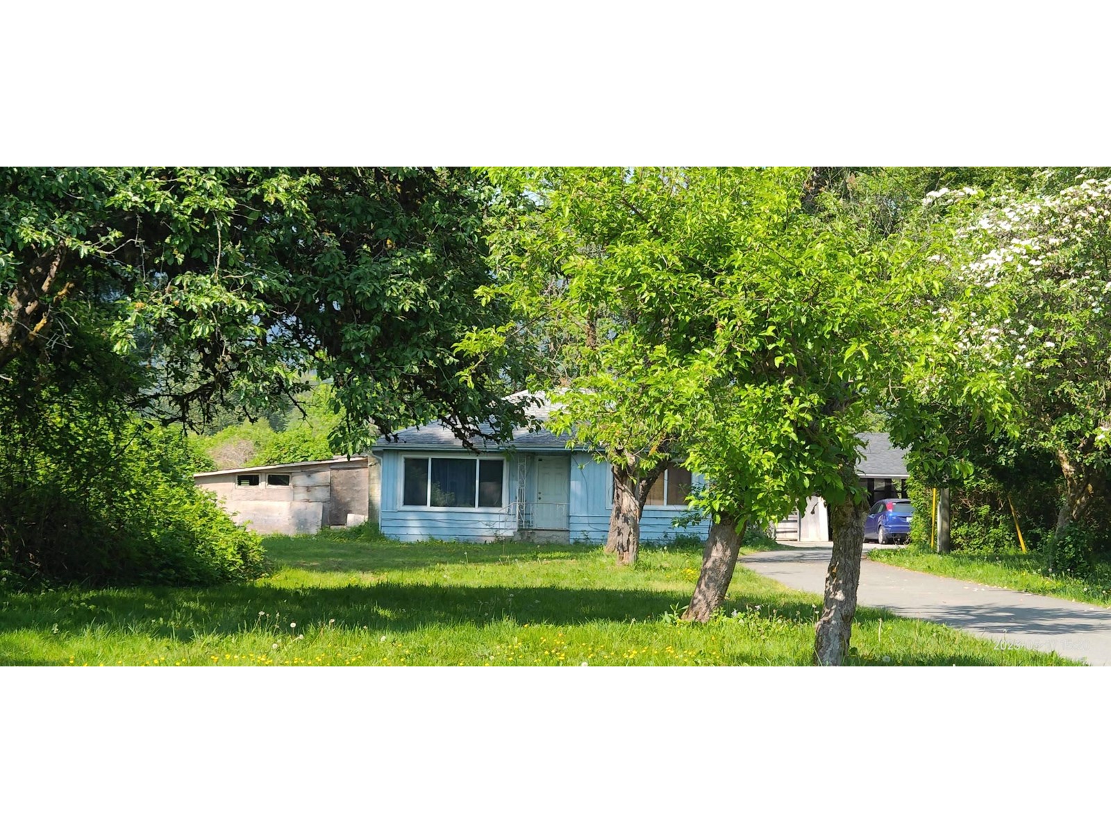 325 Laurier Avenue, Port Coquitlam, British Columbia  V3E 3G1 - Photo 2 - R2781184