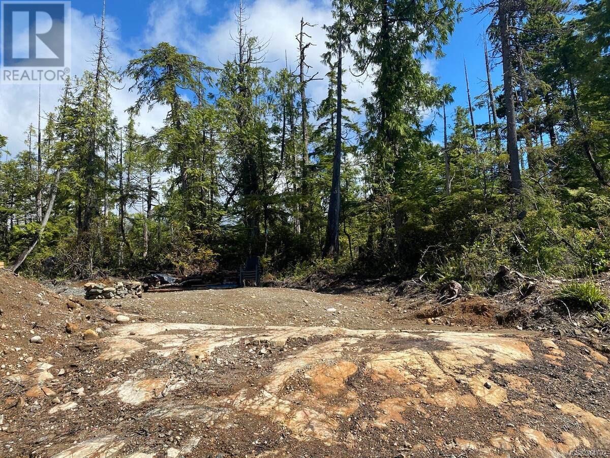 Lot 2 Ittatsoo Bay, Ucluelet, British Columbia  V0R 3A0 - Photo 20 - 914702