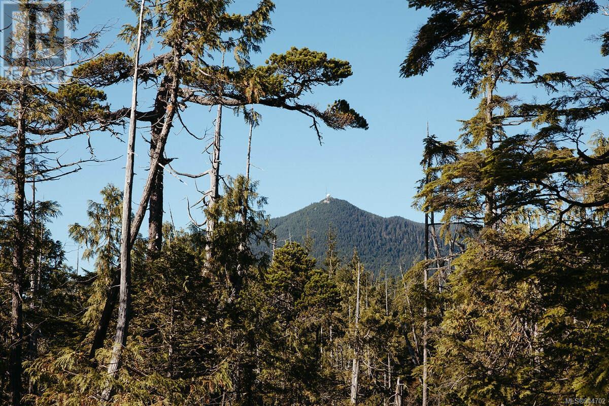 Lot 2 Ittatsoo Bay, Ucluelet, British Columbia  V0R 3A0 - Photo 6 - 914702