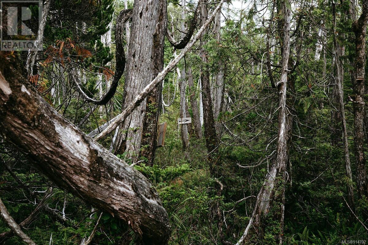 Lot 2 Ittatsoo Bay, Ucluelet, British Columbia  V0R 3A0 - Photo 26 - 914702