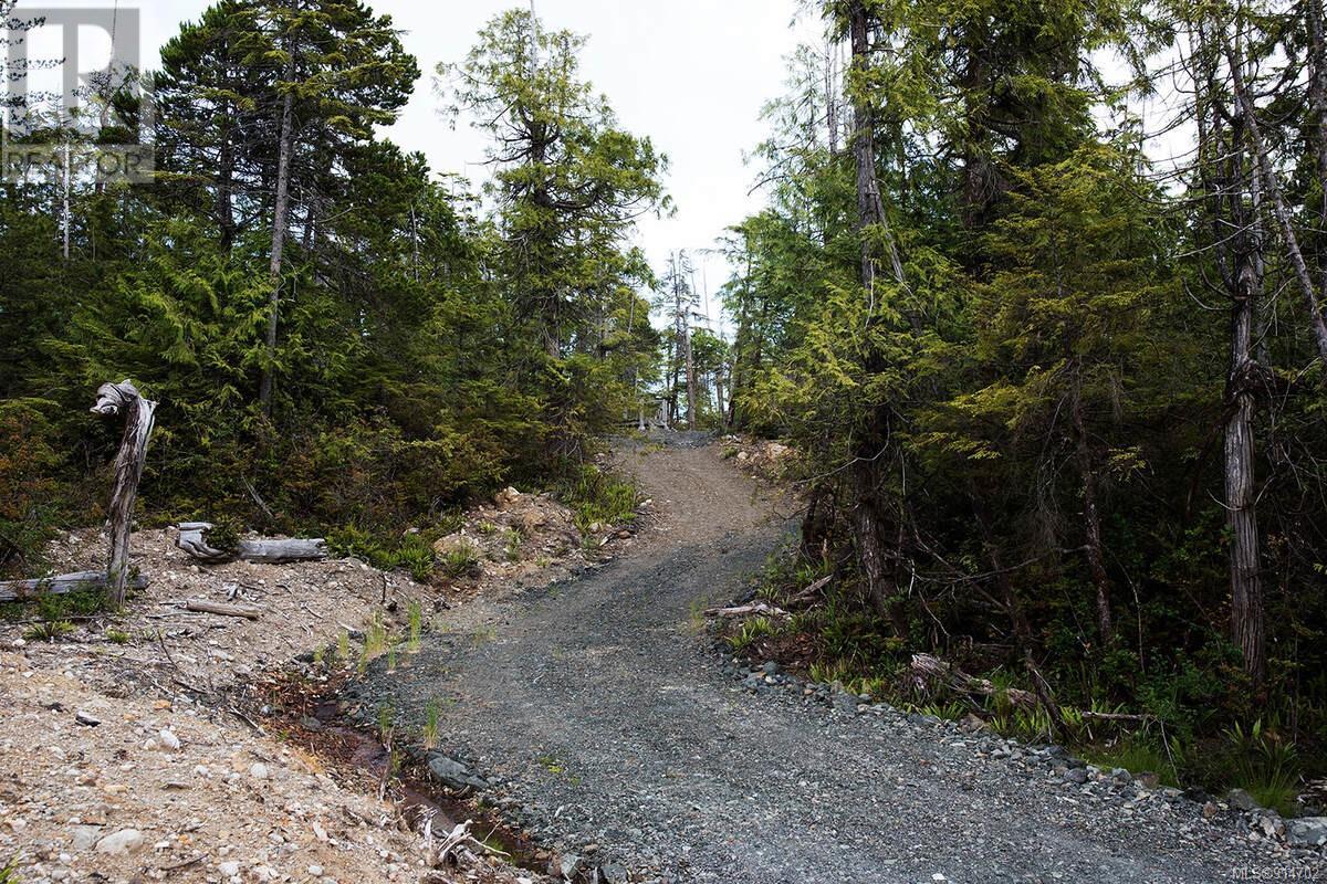 Lot 2 Ittatsoo Bay, Ucluelet, British Columbia  V0R 3A0 - Photo 10 - 914702