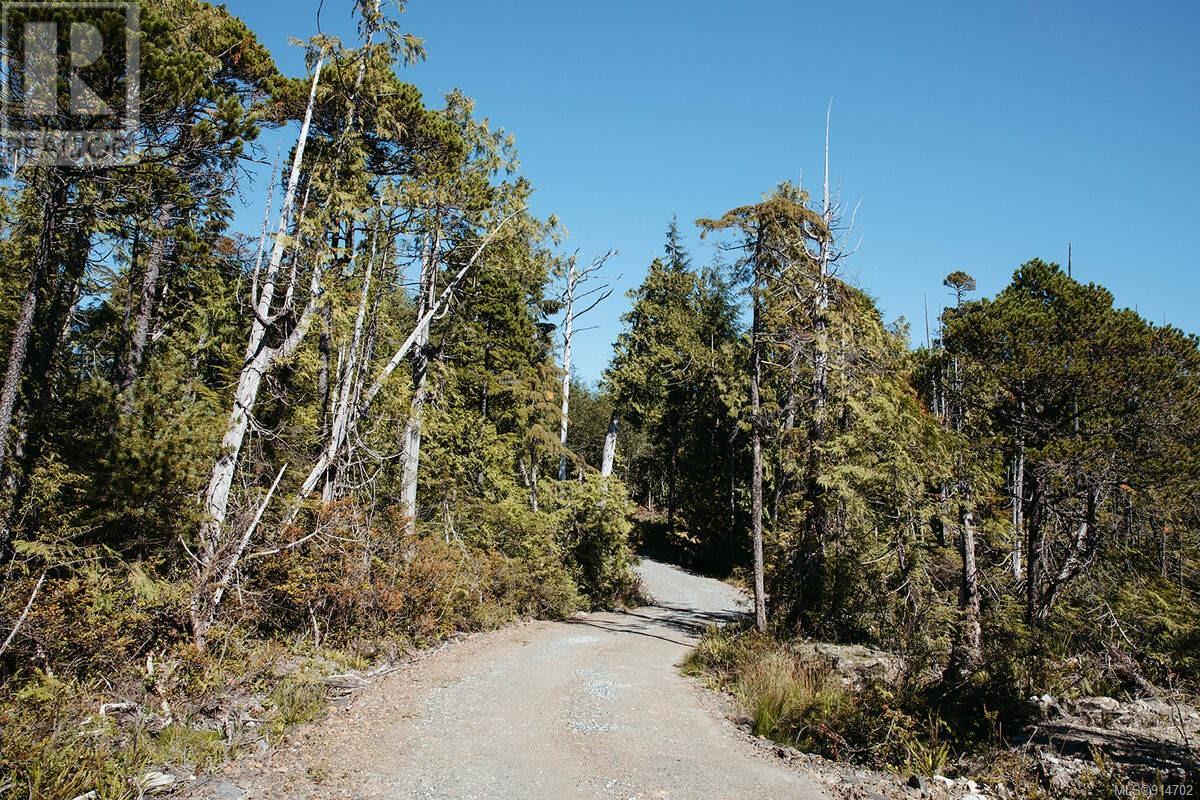 Lot 2 Ittatsoo Bay, Ucluelet, British Columbia  V0R 3A0 - Photo 4 - 914702