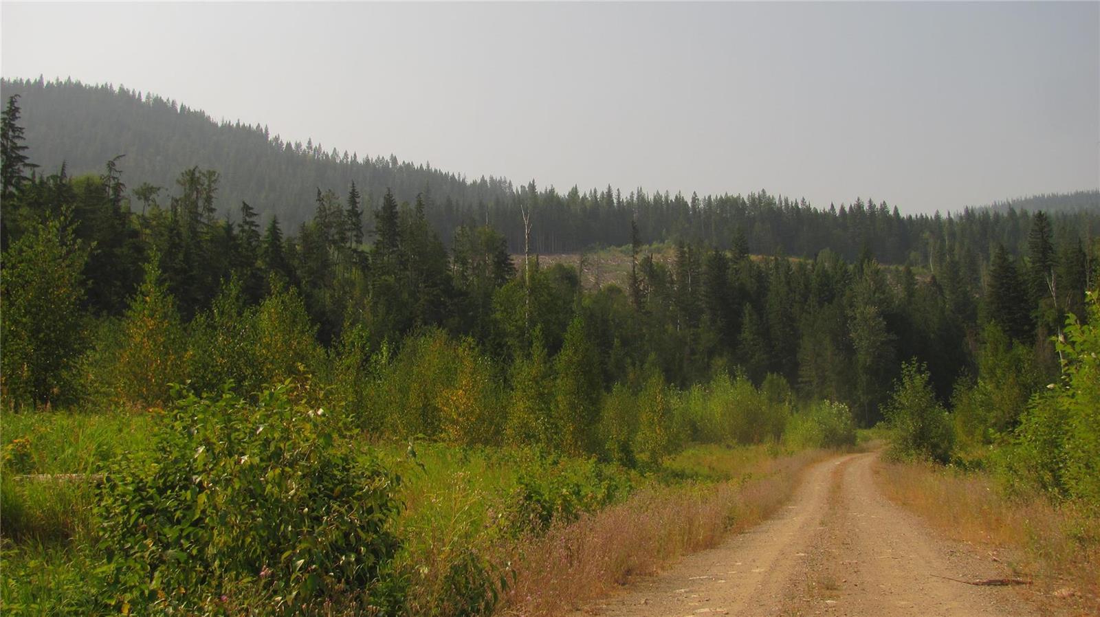 130  Acres Sugar Lake-Sihlis FSR Road Cherryville