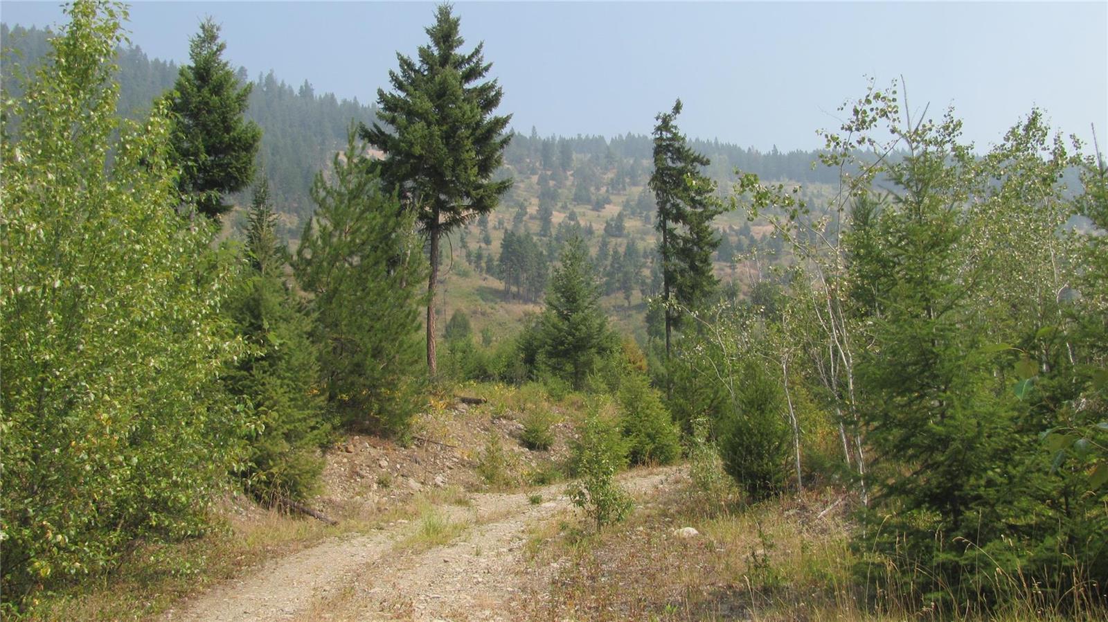 130  Acres Sugar Lake-Sihlis FSR Road Cherryville