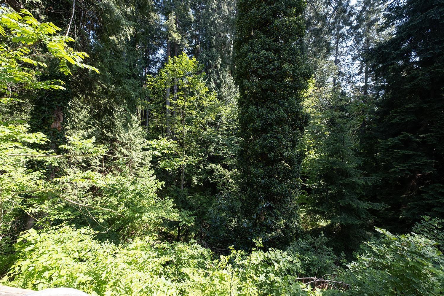 2821 Lower Road, Roberts Creek, British Columbia  V0N 2W4 - Photo 35 - R2781714