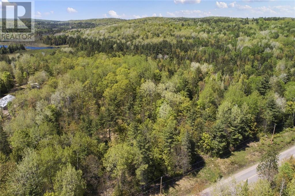 2411 Paugh Lake Road, Barry's Bay, Ontario  K0J 1B0 - Photo 1 - 1343789