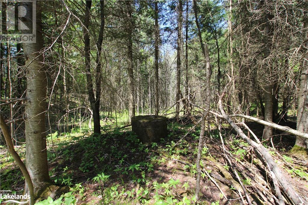 00 Old Nipissing Road N, Commanda, Ontario  P0H 1J0 - Photo 5 - 40363669