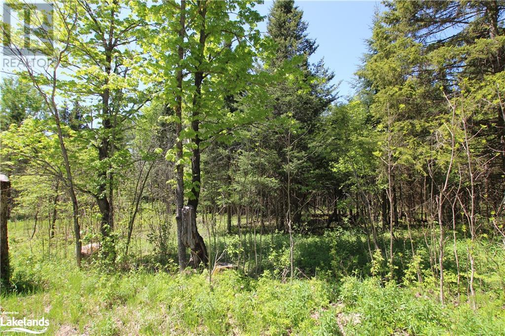 00 Old Nipissing Road N, Commanda, Ontario  P0H 1J0 - Photo 10 - 40363669