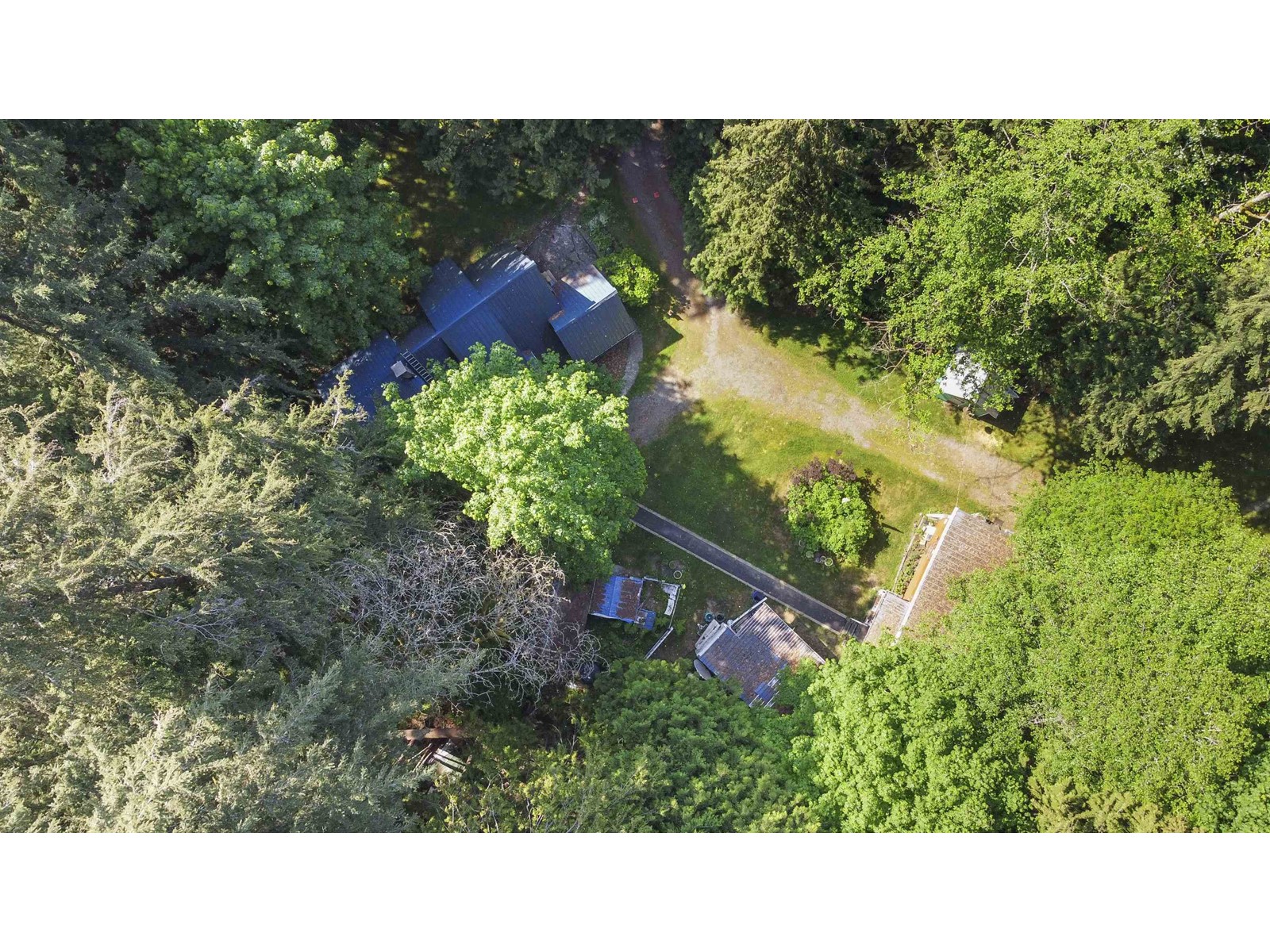 23287 141 Avenue, Maple Ridge, British Columbia  V4R 2R4 - Photo 11 - R2782296