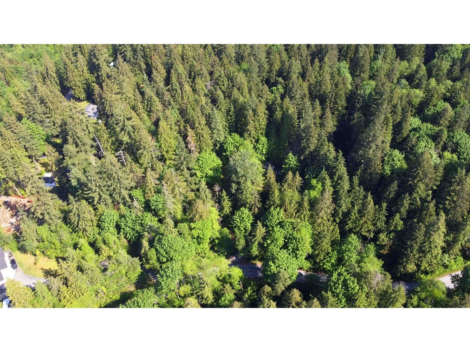 23287 141 Avenue, Maple Ridge, British Columbia  V4R 2R4 - Photo 13 - R2782296
