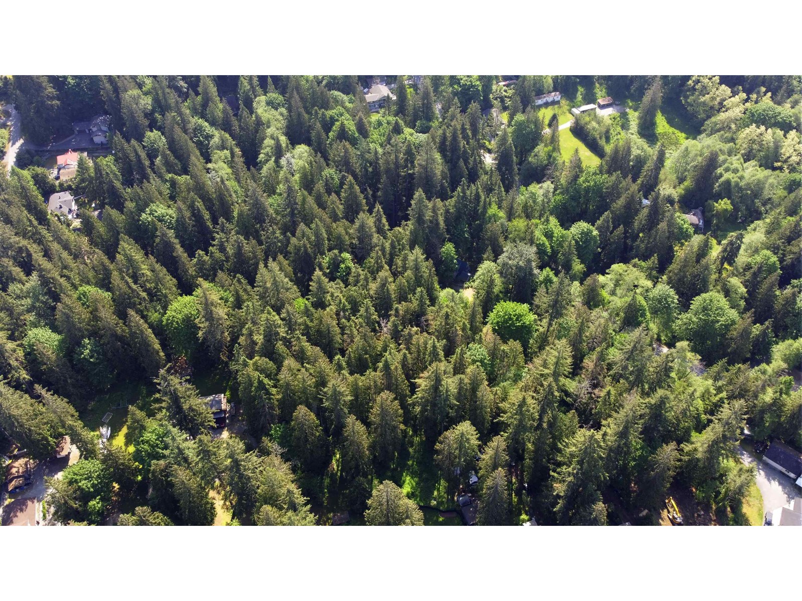 23287 141 Avenue, Maple Ridge, British Columbia  V4R 2R4 - Photo 15 - R2782296