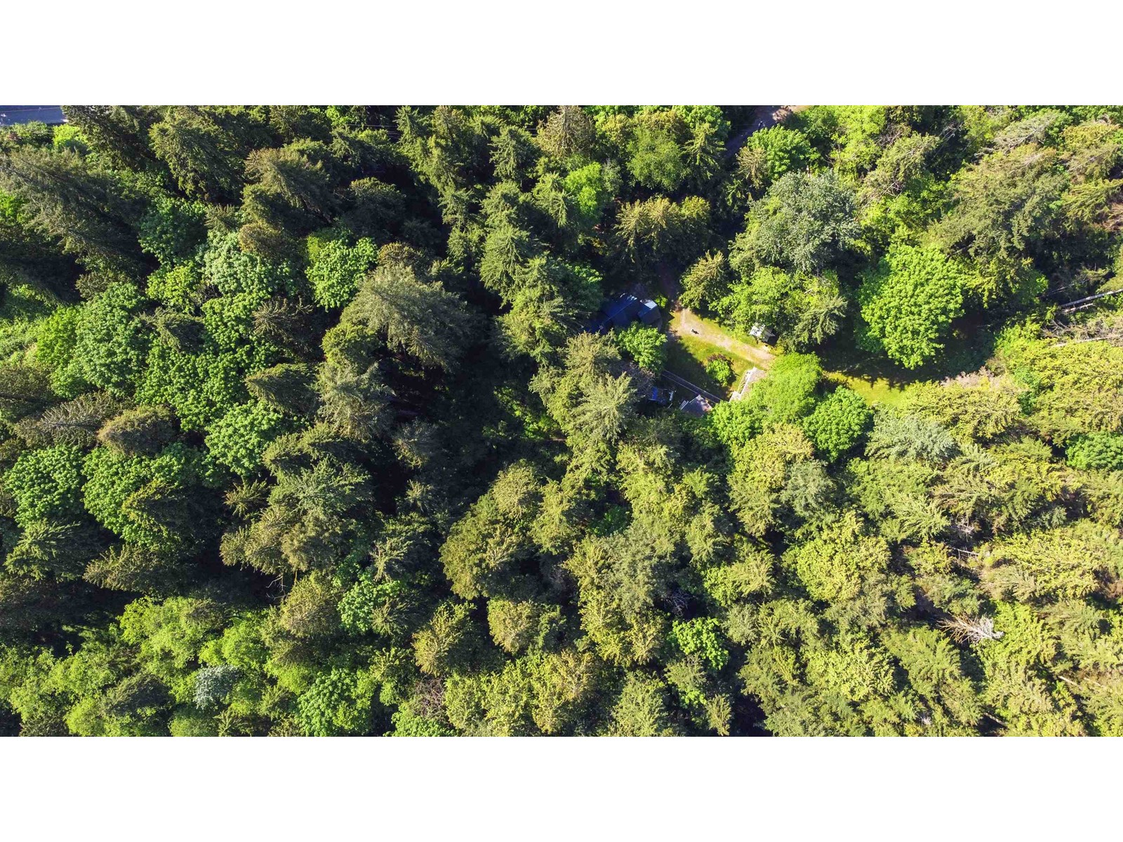 23287 141 Avenue, Maple Ridge, British Columbia  V4R 2R4 - Photo 19 - R2782296