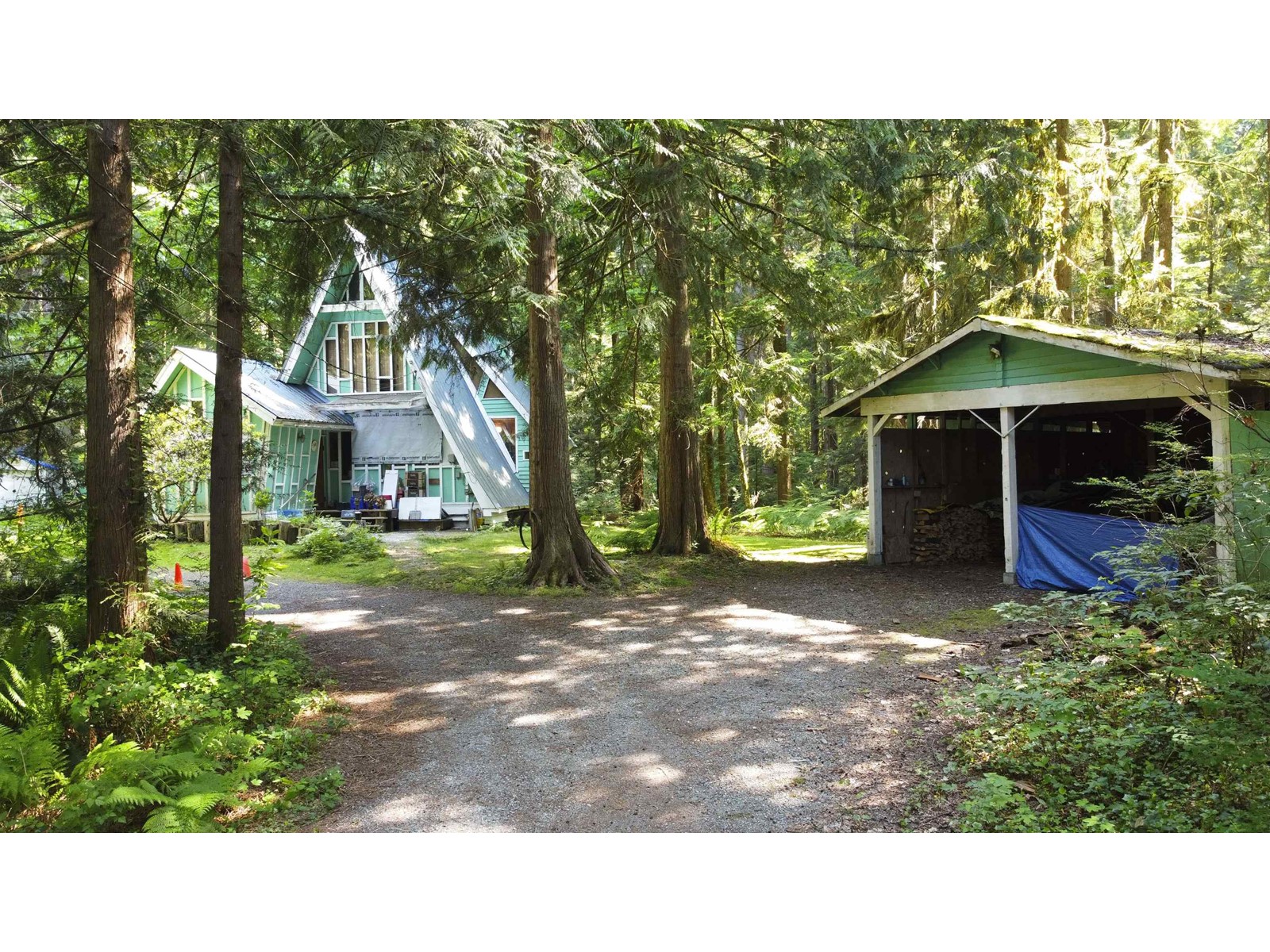 23287 141 Avenue, Maple Ridge, British Columbia  V4R 2R4 - Photo 6 - R2782296